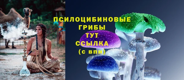 СК Армянск