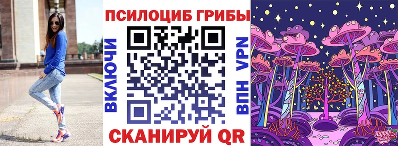 Галлюциногенные грибы MAGIC MUSHROOMS  сколько стоит  Туринск 